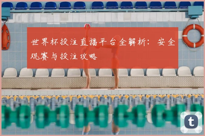 世界杯投注直播平台全解析：安全观赛与投注攻略